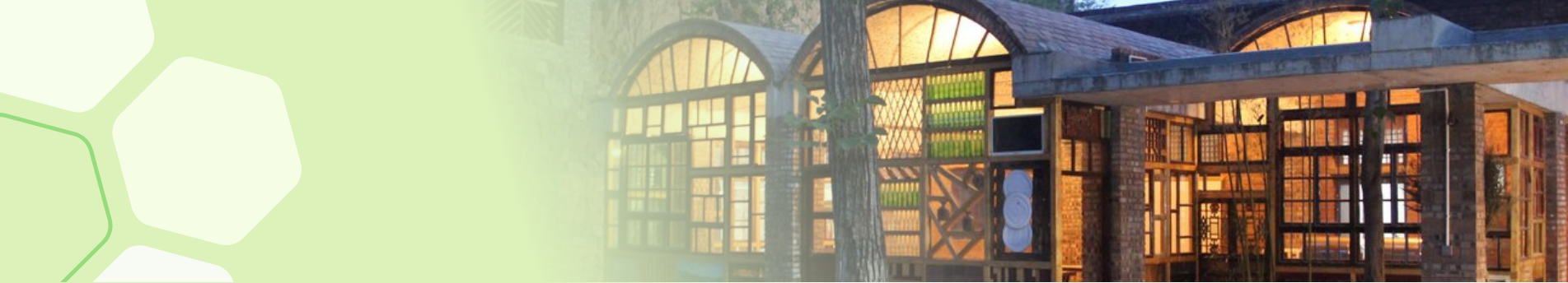 Our Projects
